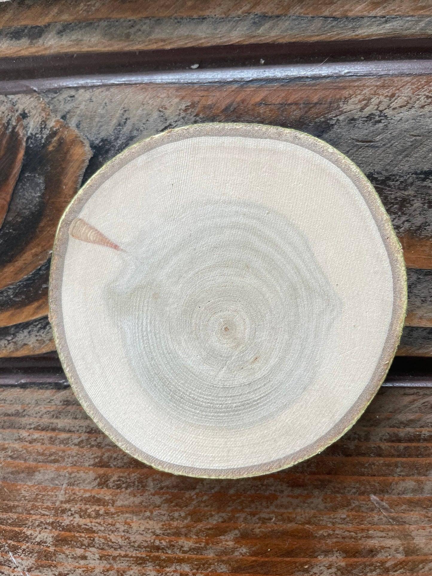 Bison Coaster, Aspen Wood, Laser Engraved, Buffalo Art