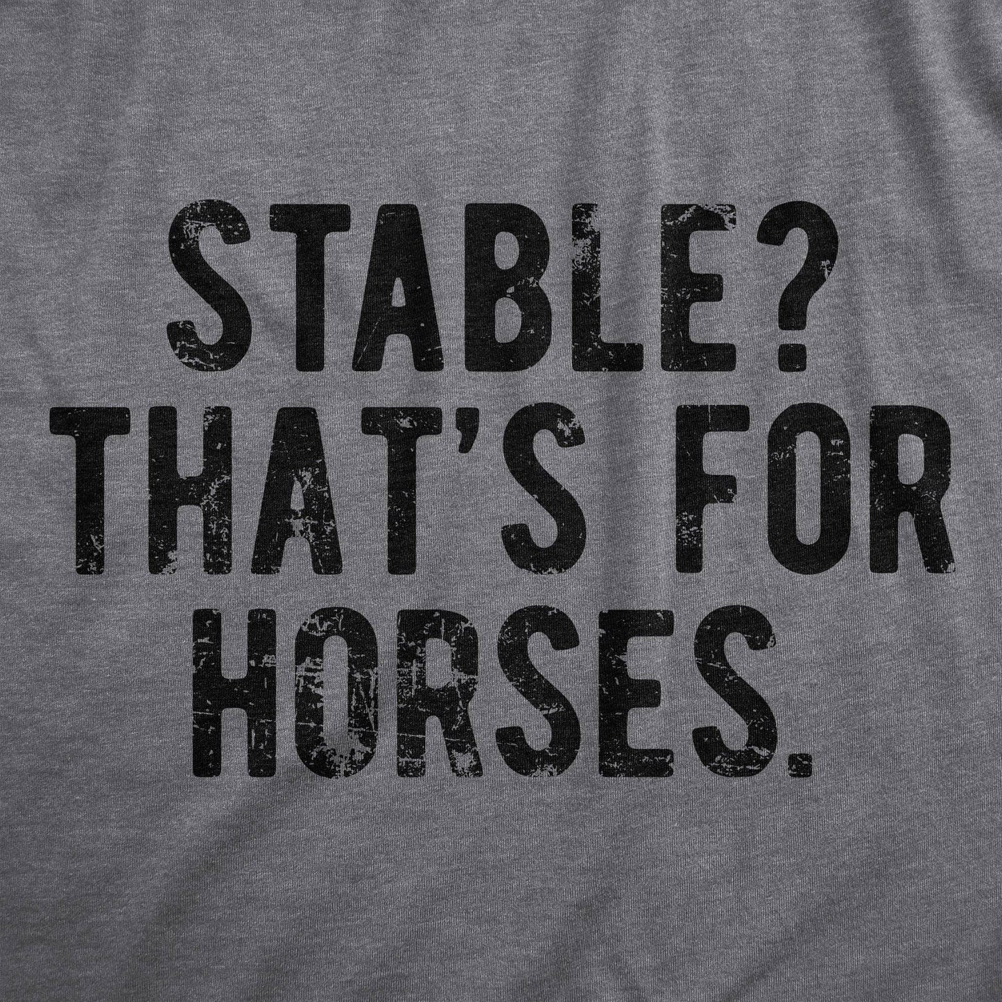 Stable Thats For Horses Women's Tshirt Sarcastic Graphic Tee