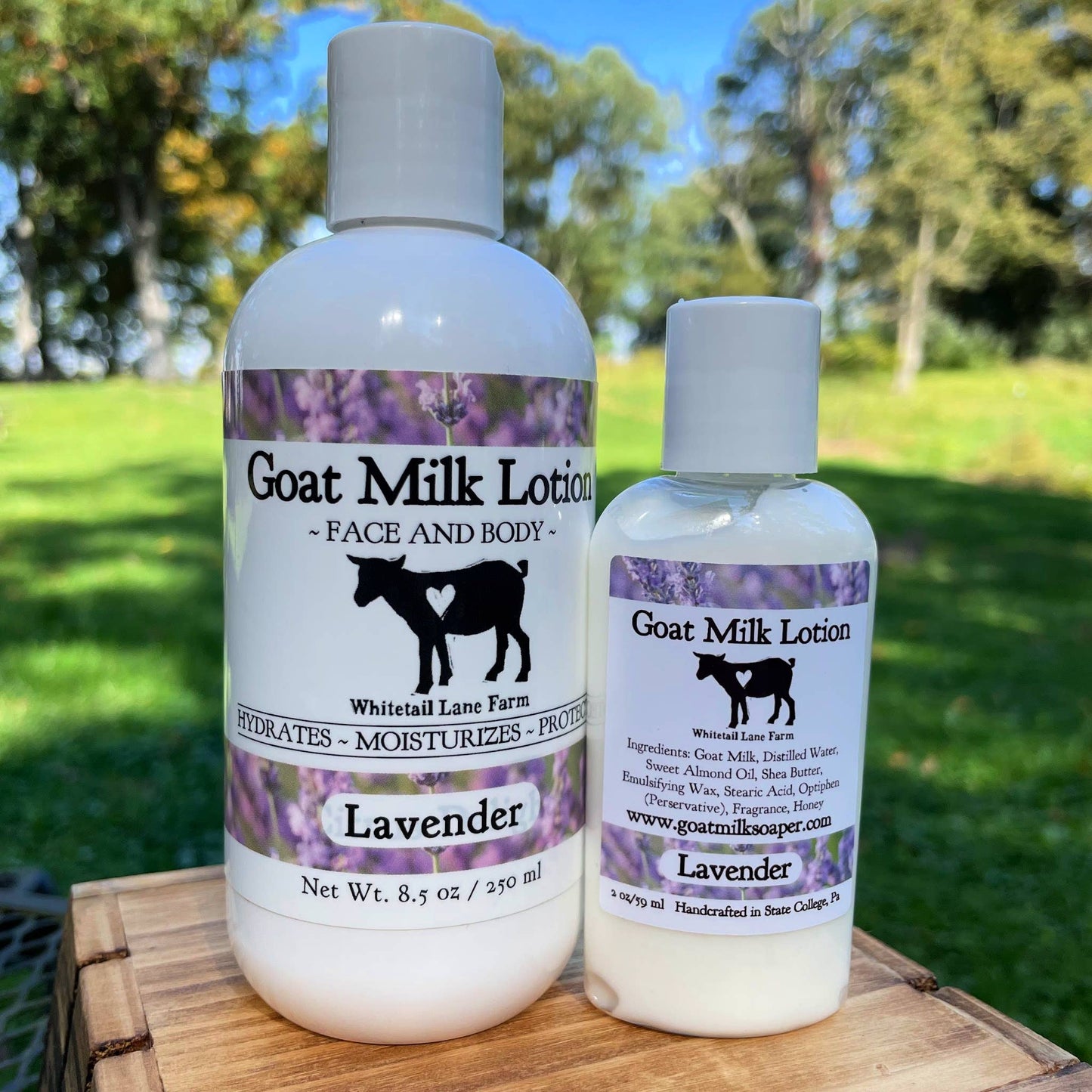 Goat Milk Lotion Lavender