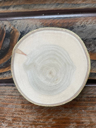 Bison Coaster, Aspen Wood, Laser Engraved, Buffalo Art