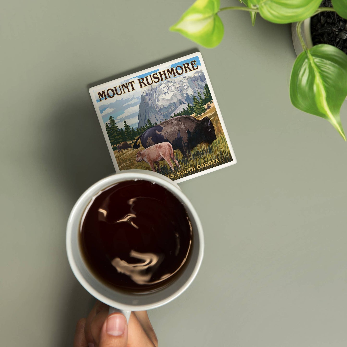 Ceramic Coaster Black Hills, South Dakota, Bison Grazing