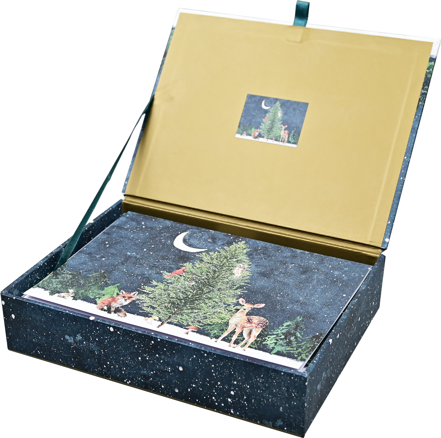 Moonlit Forest Friends Deluxe Boxed Holiday Cards