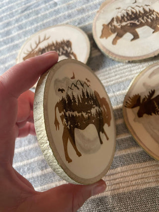 Bison Coaster, Aspen Wood, Laser Engraved, Buffalo Art