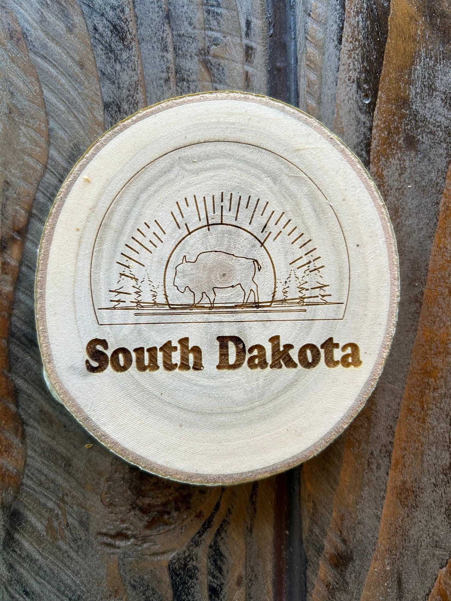 South Dakota Coaster, Bison and Buffalo, South Dakota