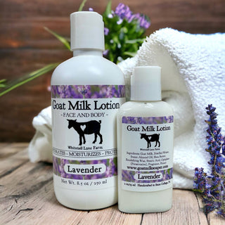 Goat Milk Lotion Lavender