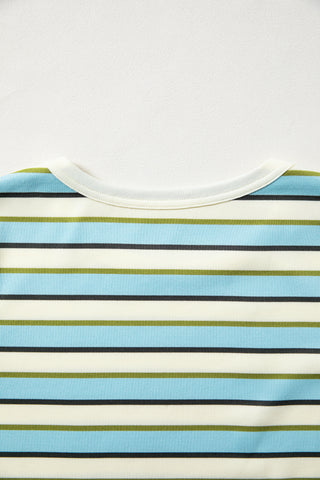 Multicolour Striped Round Neck Ribbed Knit Long Sleeve Top