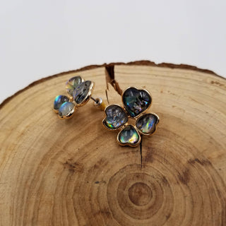 Lucky Chakra Abalone Shell Earrings